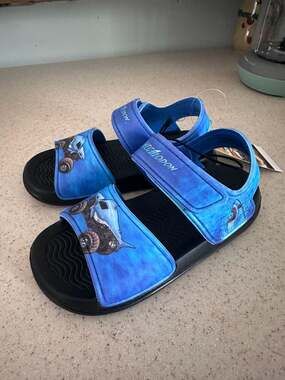 Monster Jam Megalodon Toddler Boy Sandals Size 9